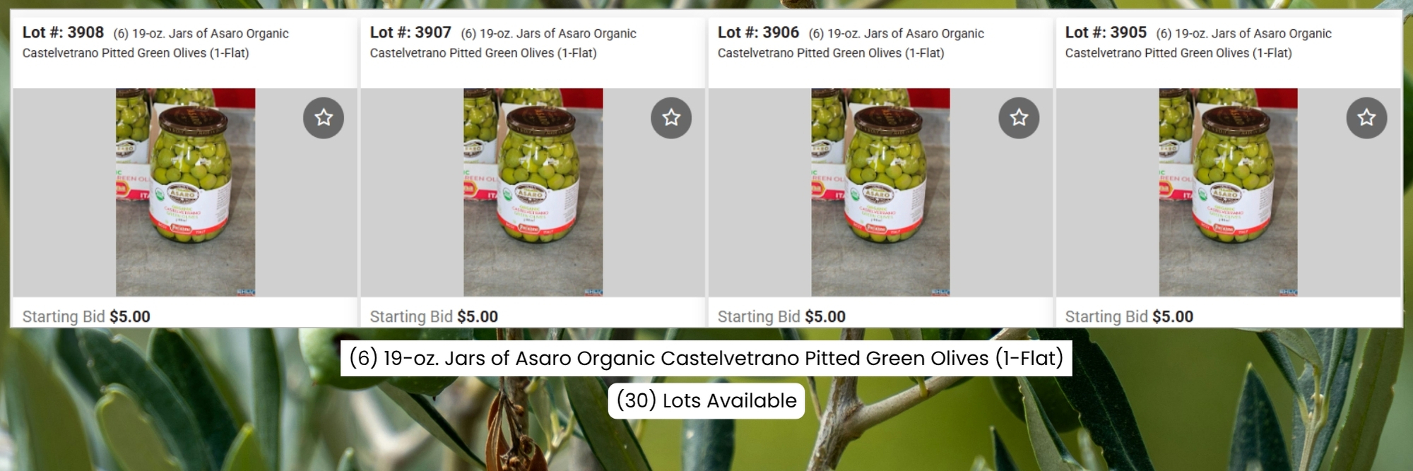 19 oz. Jars of Asaro Organic Castelvetrano Pitted Green Olives (1 Flat)